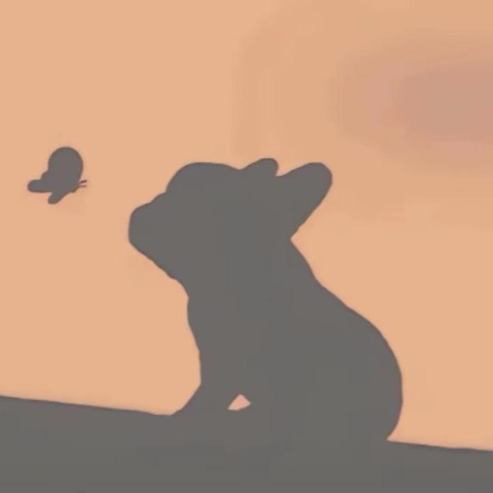 夜不归宿的小仙女