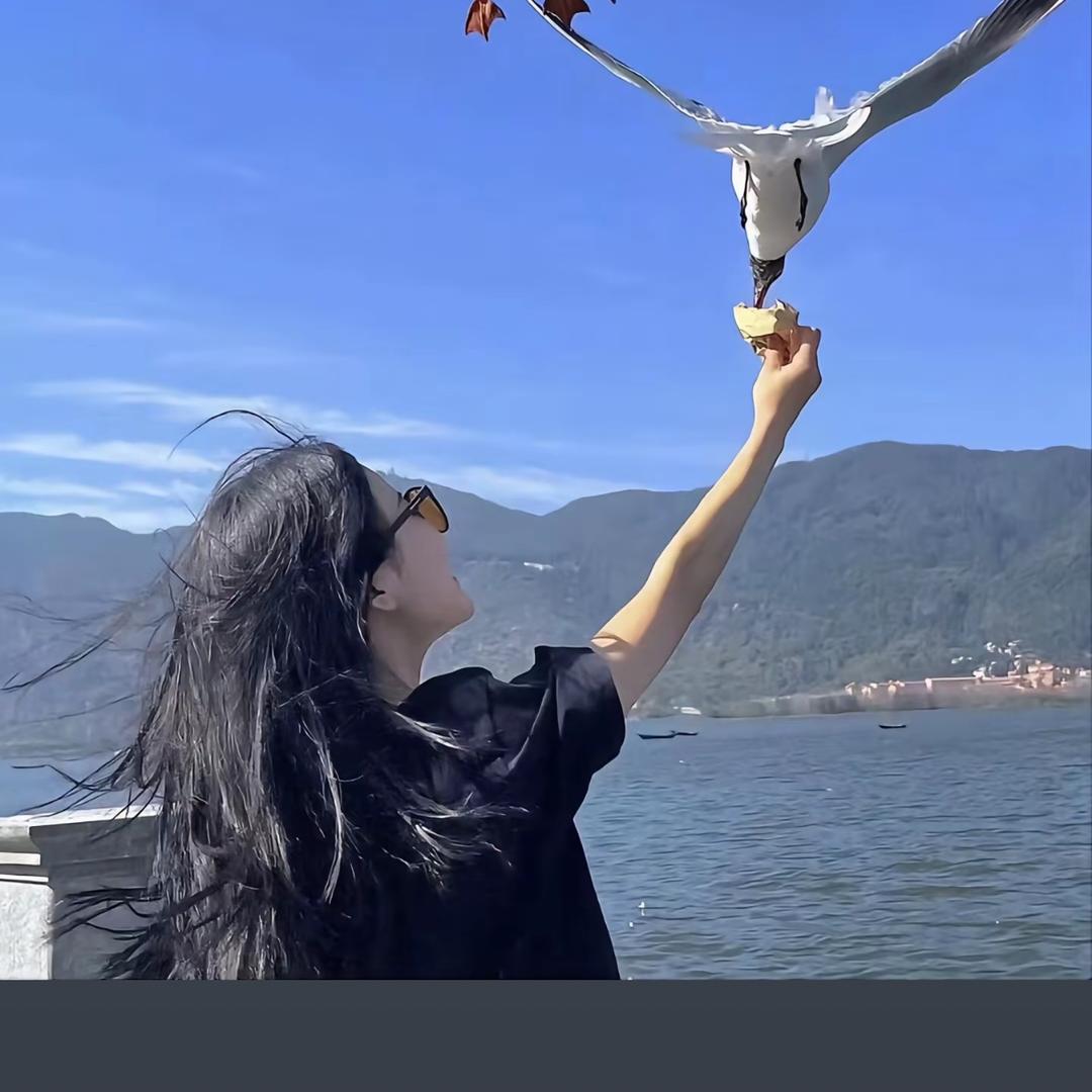 羊羊爱生活y