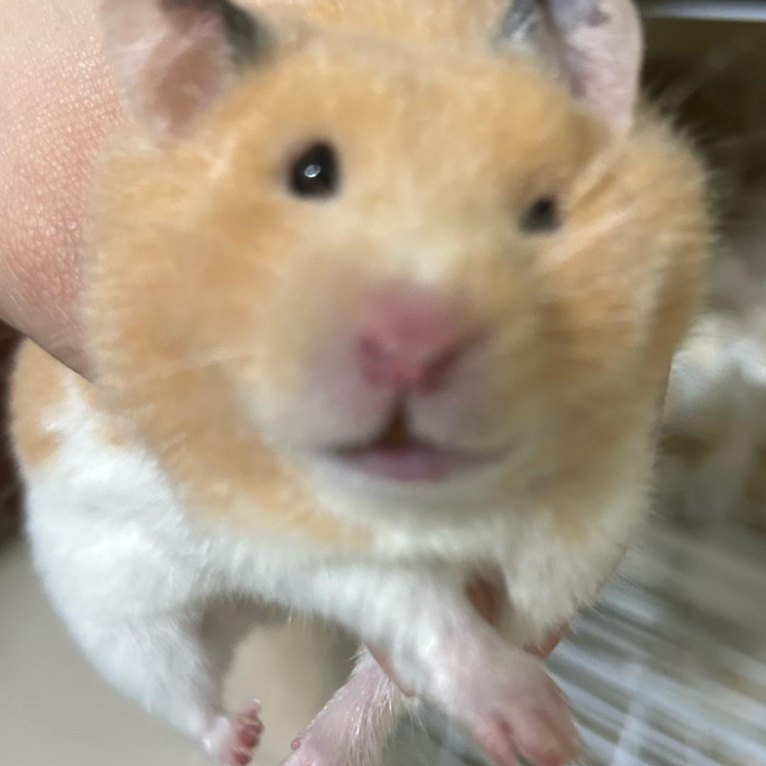 木垚垚