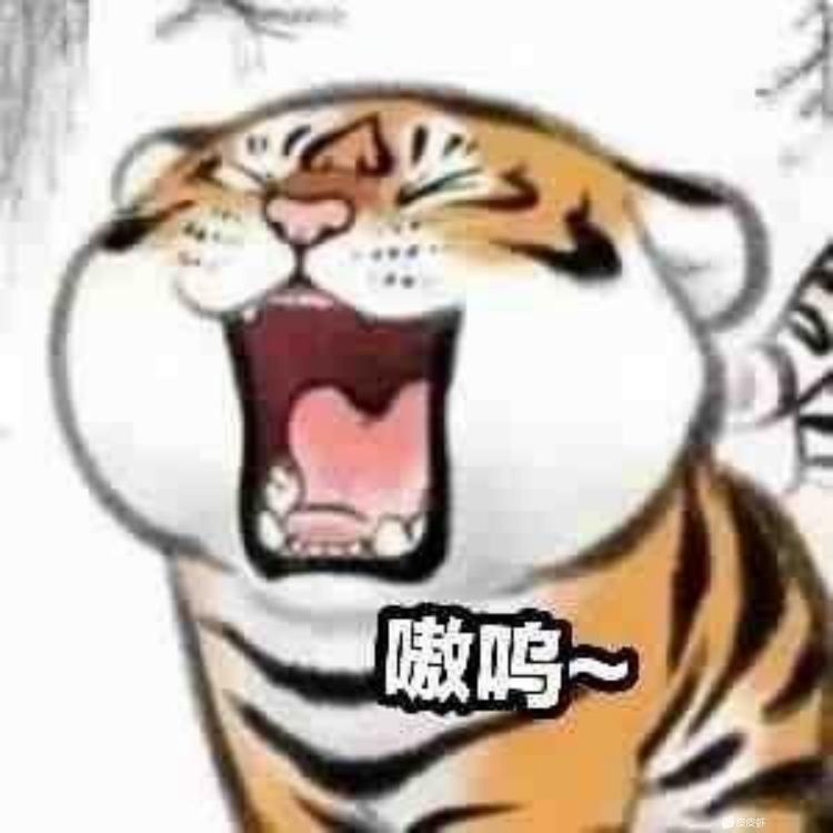小7很能C