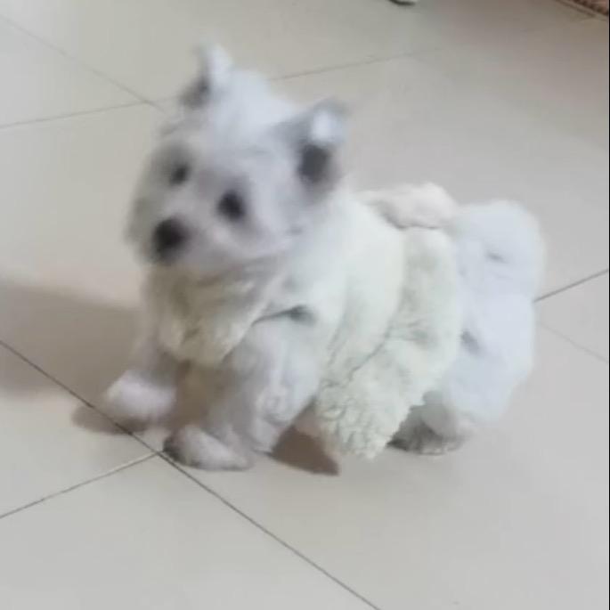 冬天喜欢抓瞌睡