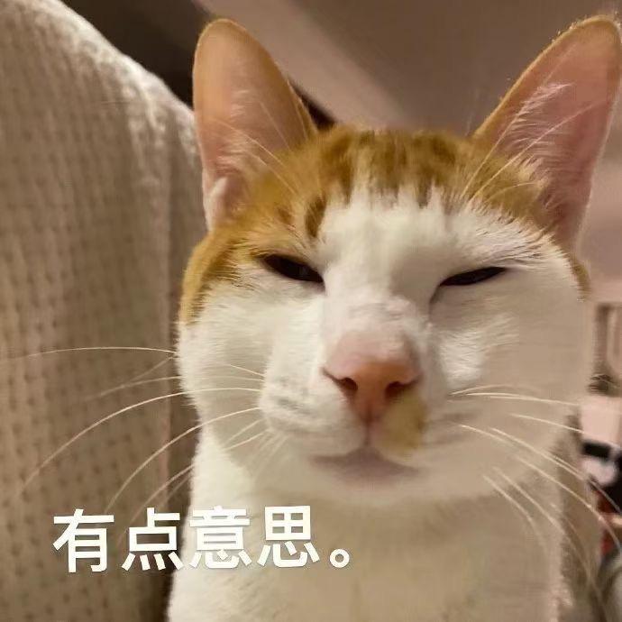 雅思考到6.5就改名