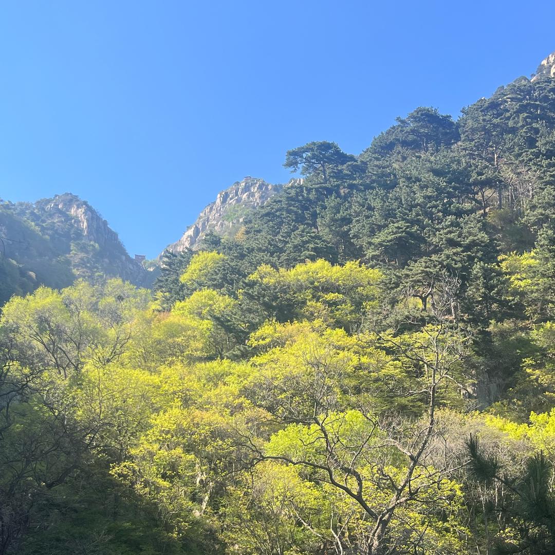 梦回