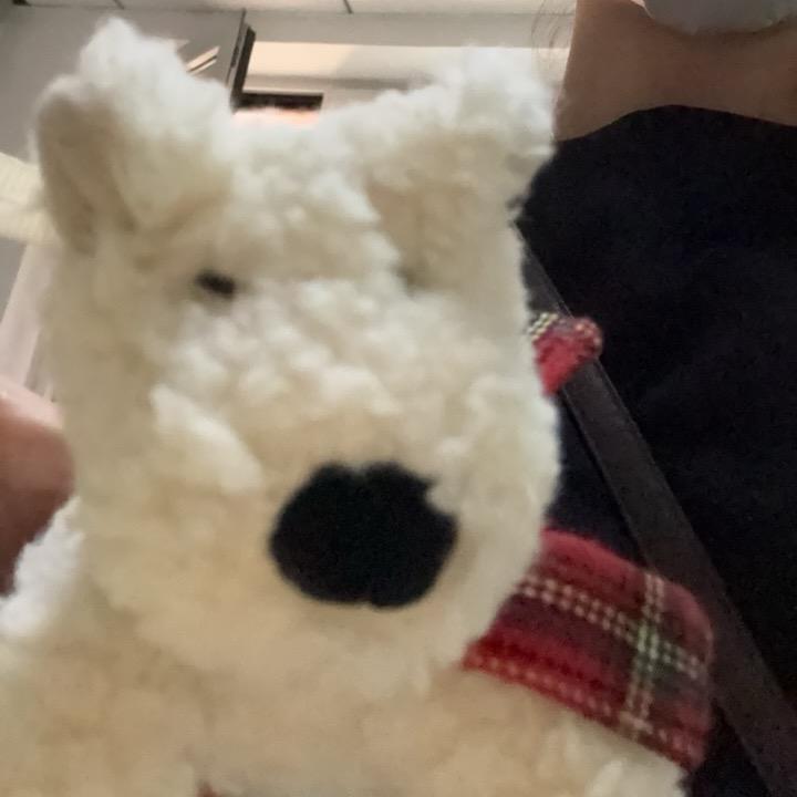 凸凸
