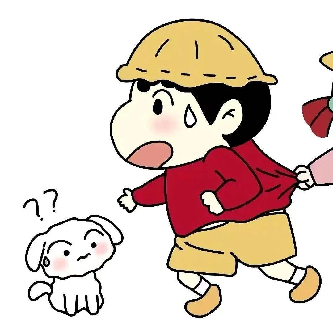 驾校招生🚗