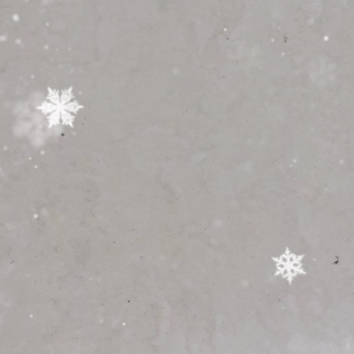 ✨✨哼哼