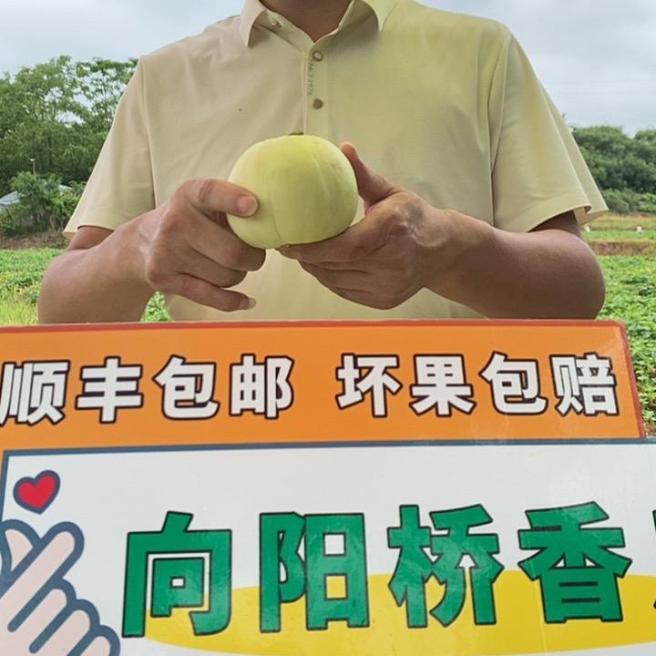 多多助农