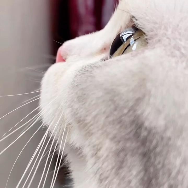 格局小了（三角洲行动）