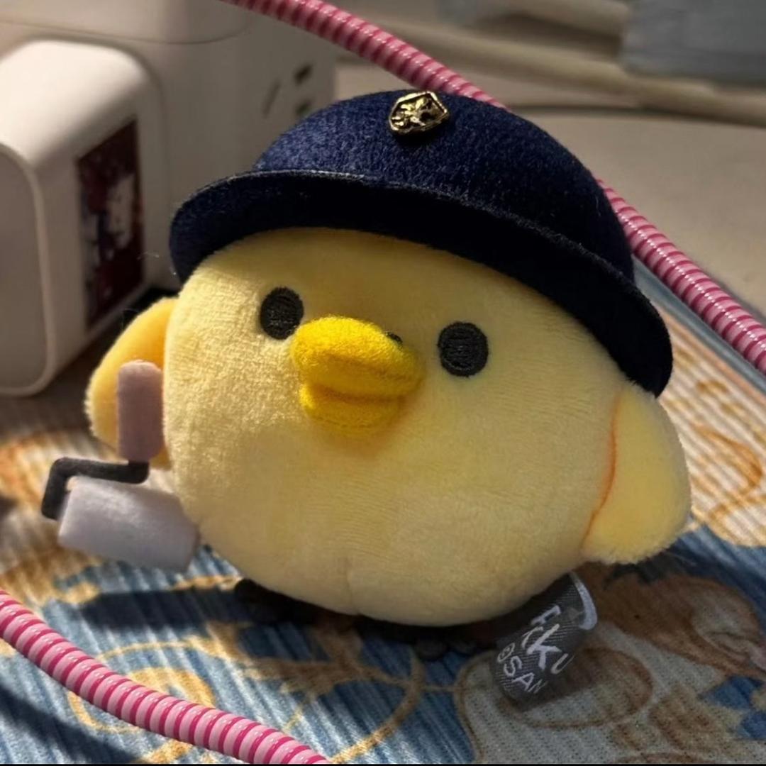 梁辉.