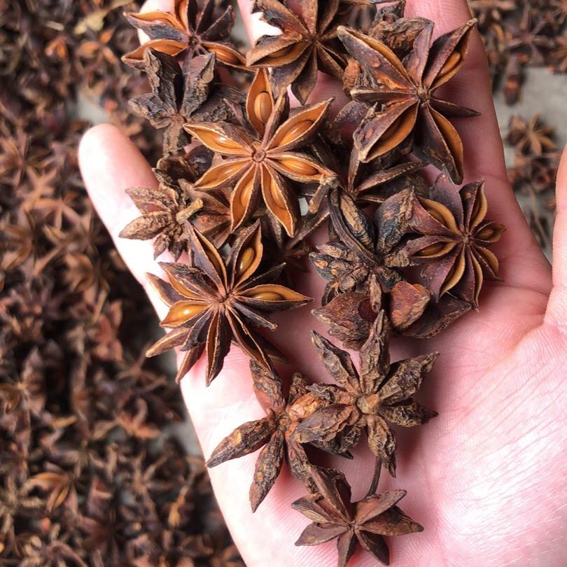 玉林香料批发小张⛵️