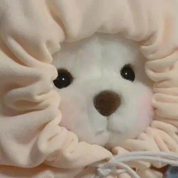 小熊O泡🧸ིྀ