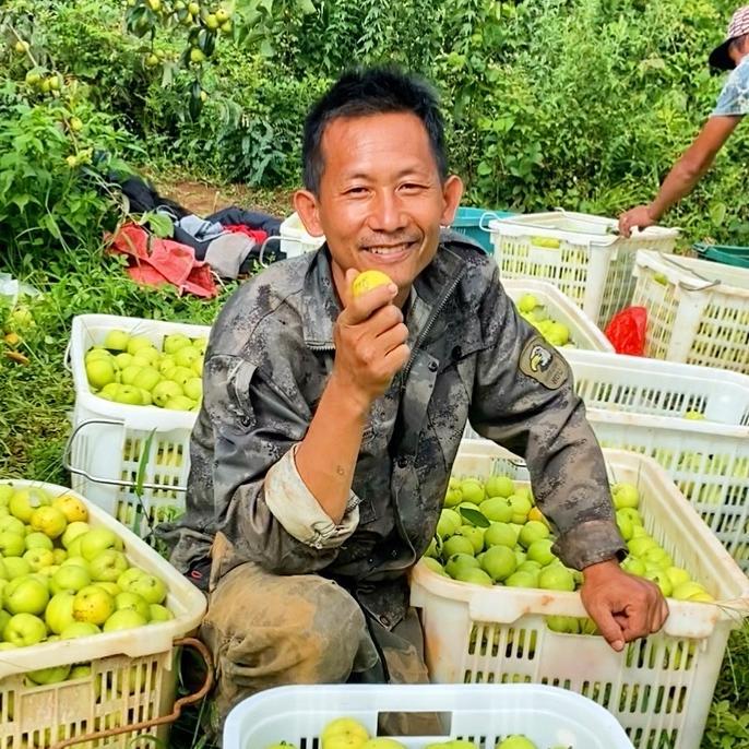 普洱李双云家农场