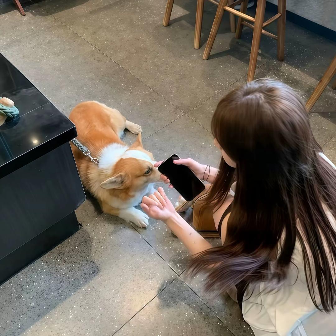 一口羊
