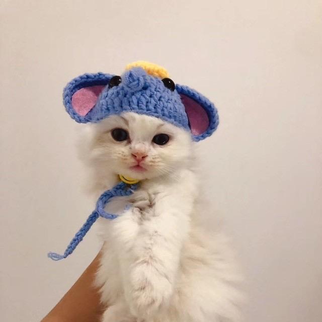 👉沙雕研究生聊考研