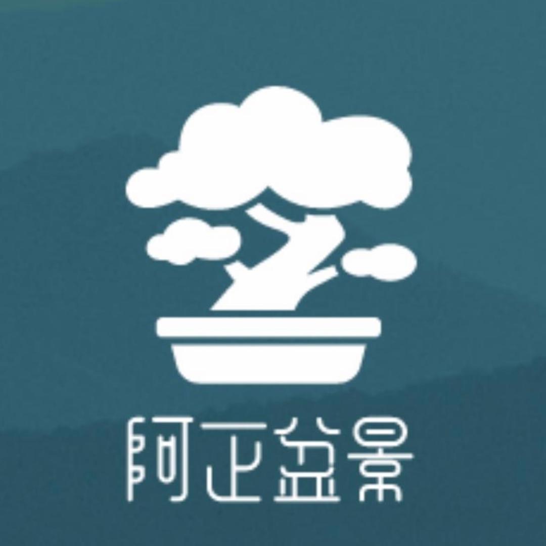 阿正（寻翛）茶空间盆景