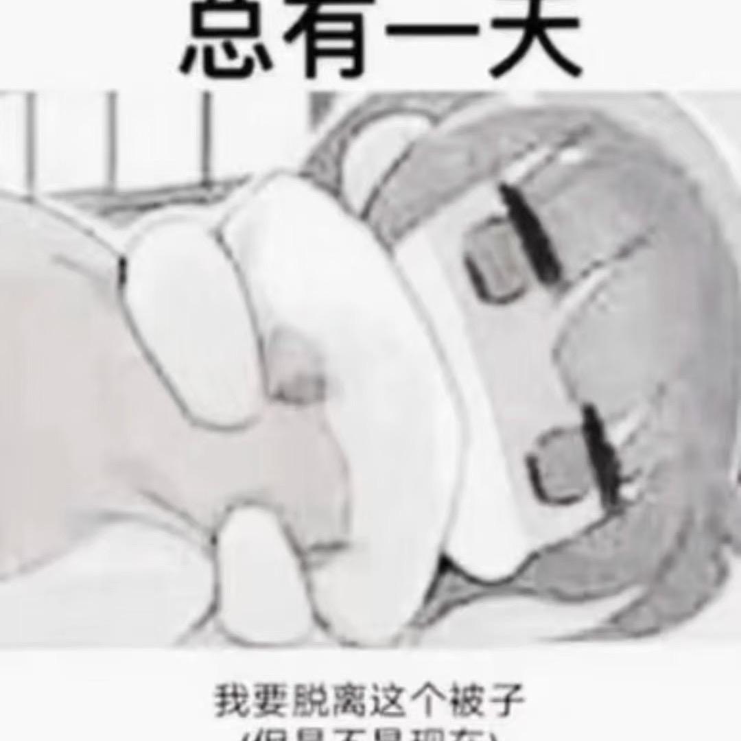 窝它吗竟然