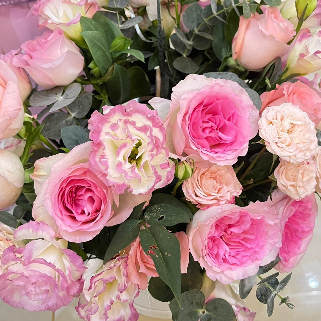 🎀💕浅夏安然💕🎀