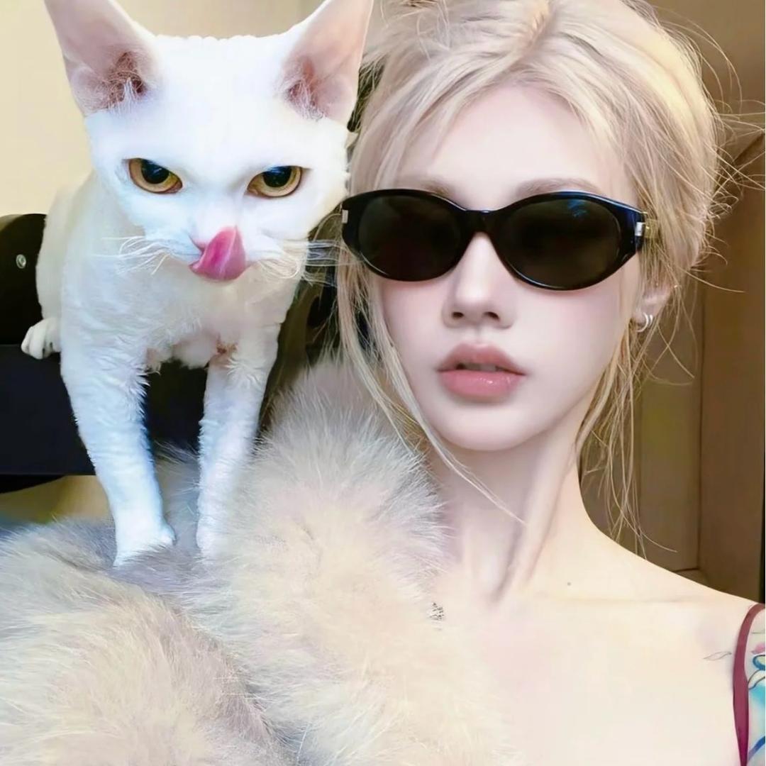 @温迪