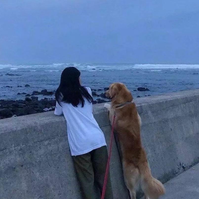 小蛇🦋
