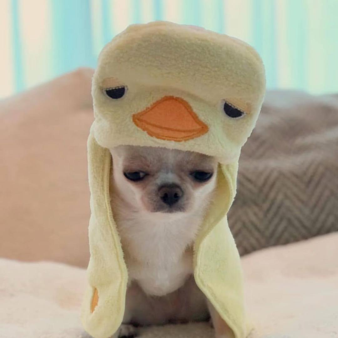cc