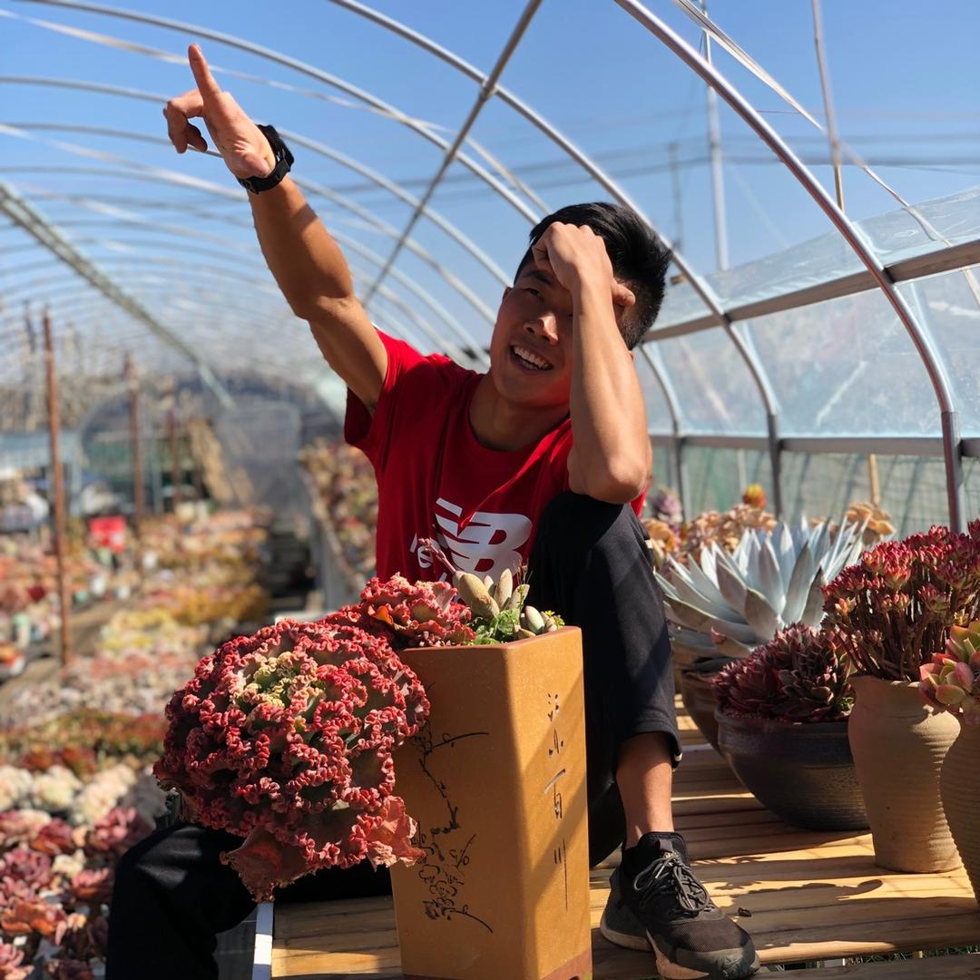 植迷园艺