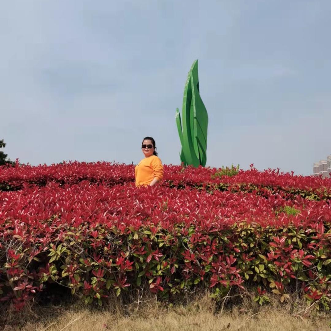 清秋