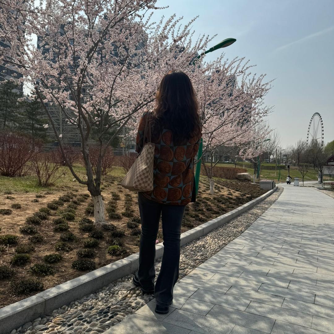🌸樱花🌸