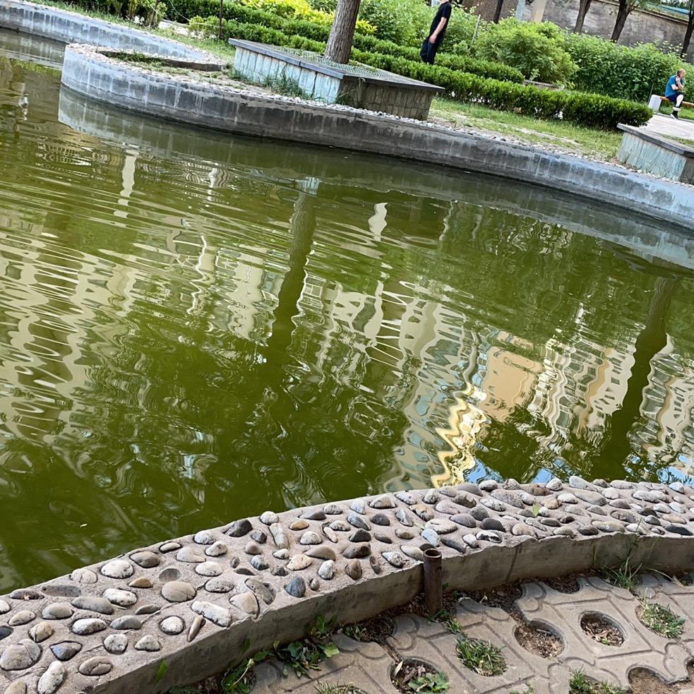 福气多多