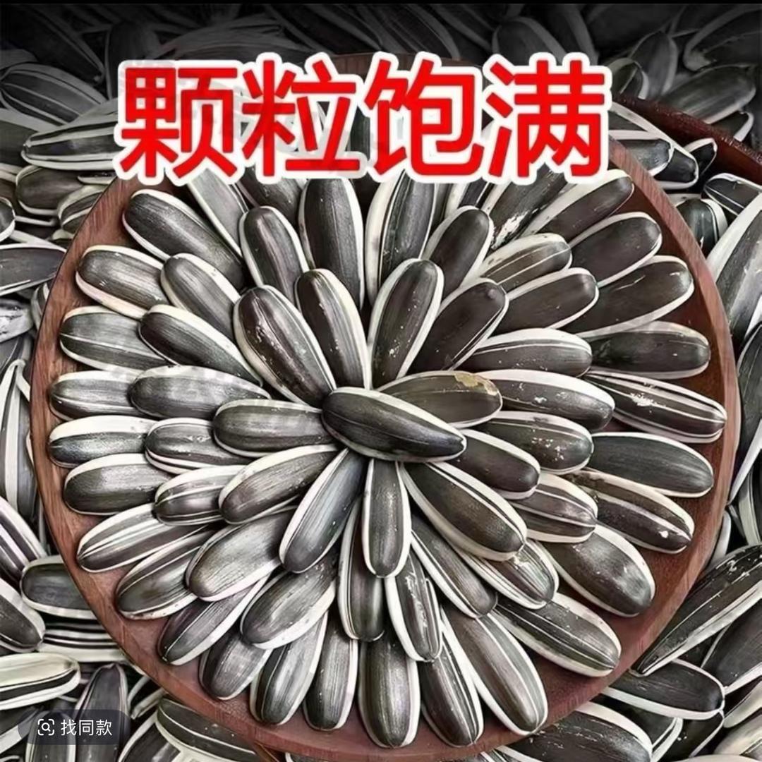 臻品(瓜子）