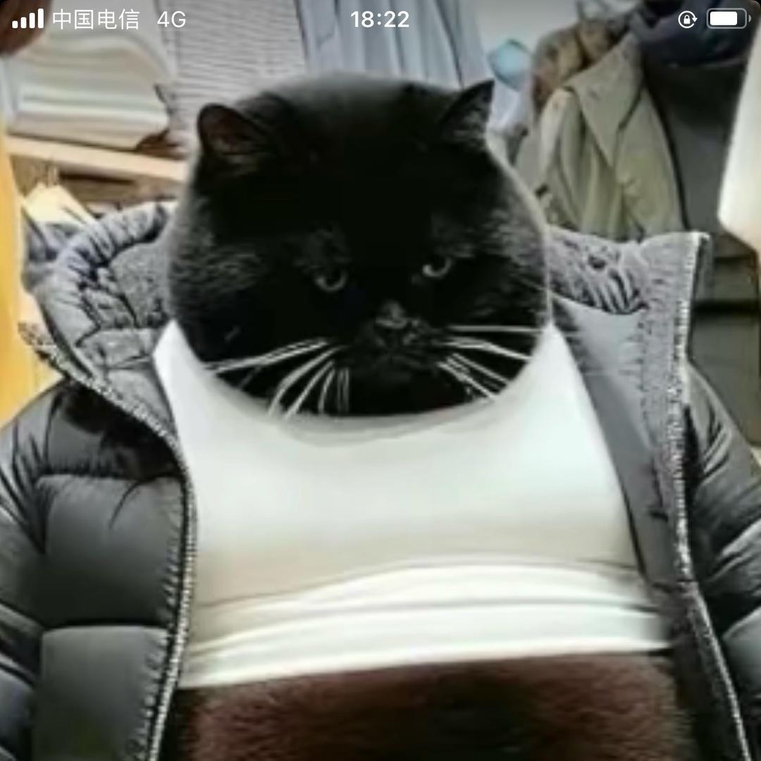 砥砺前行
