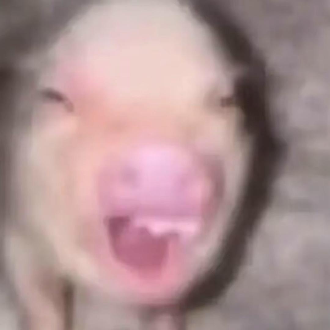 我膈应你