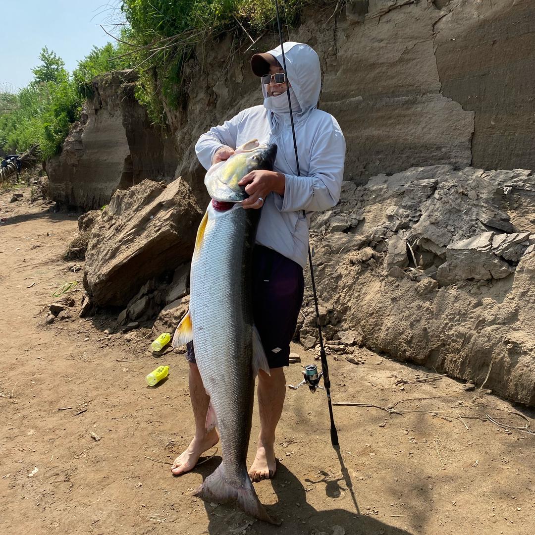 “扎西德勒”       🐜