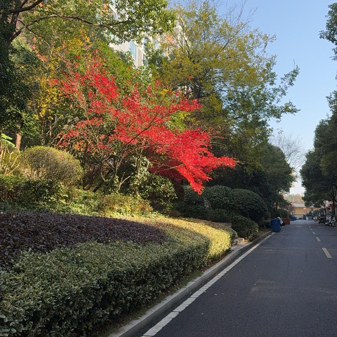 固本揉腹-申老师