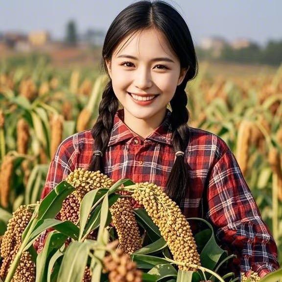 菜菜爱种植