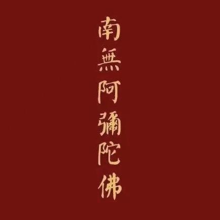 车检 杜若🪻