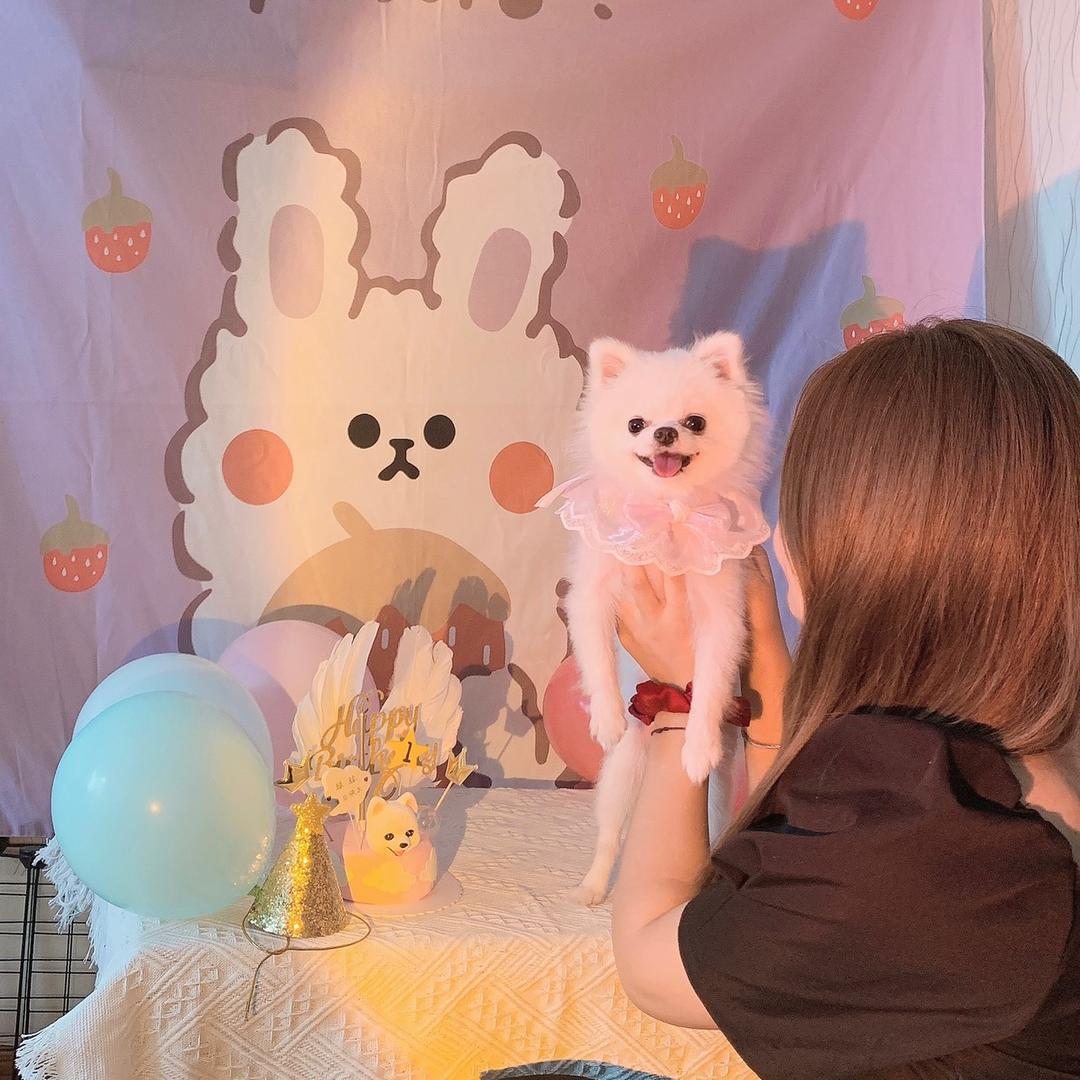 H不哭笑笑👨‍👩‍👦