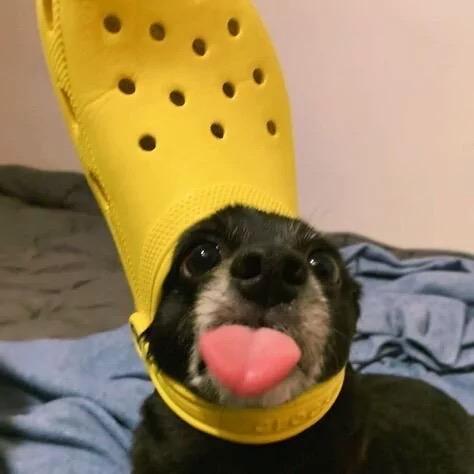 鞋垫子