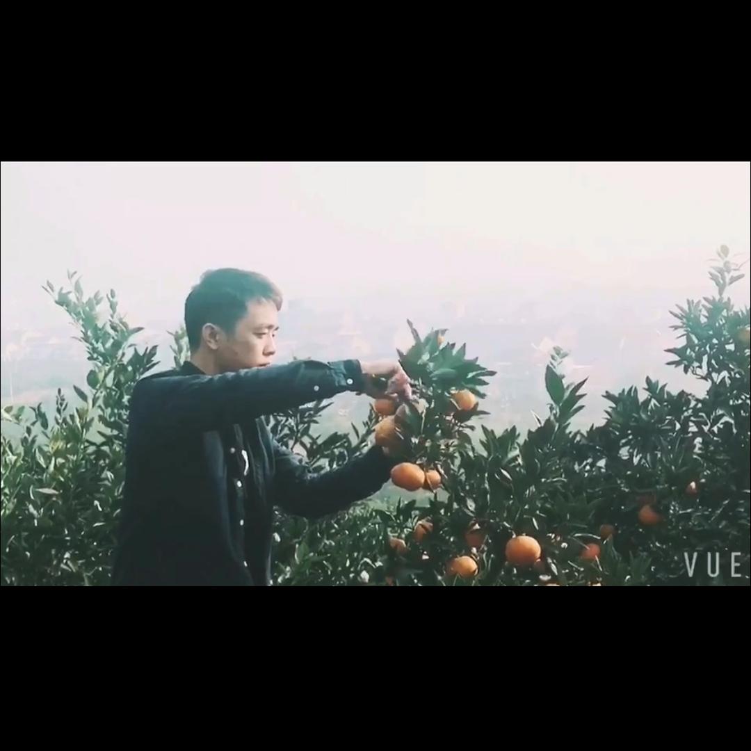 湘佳橘友🍊余同学