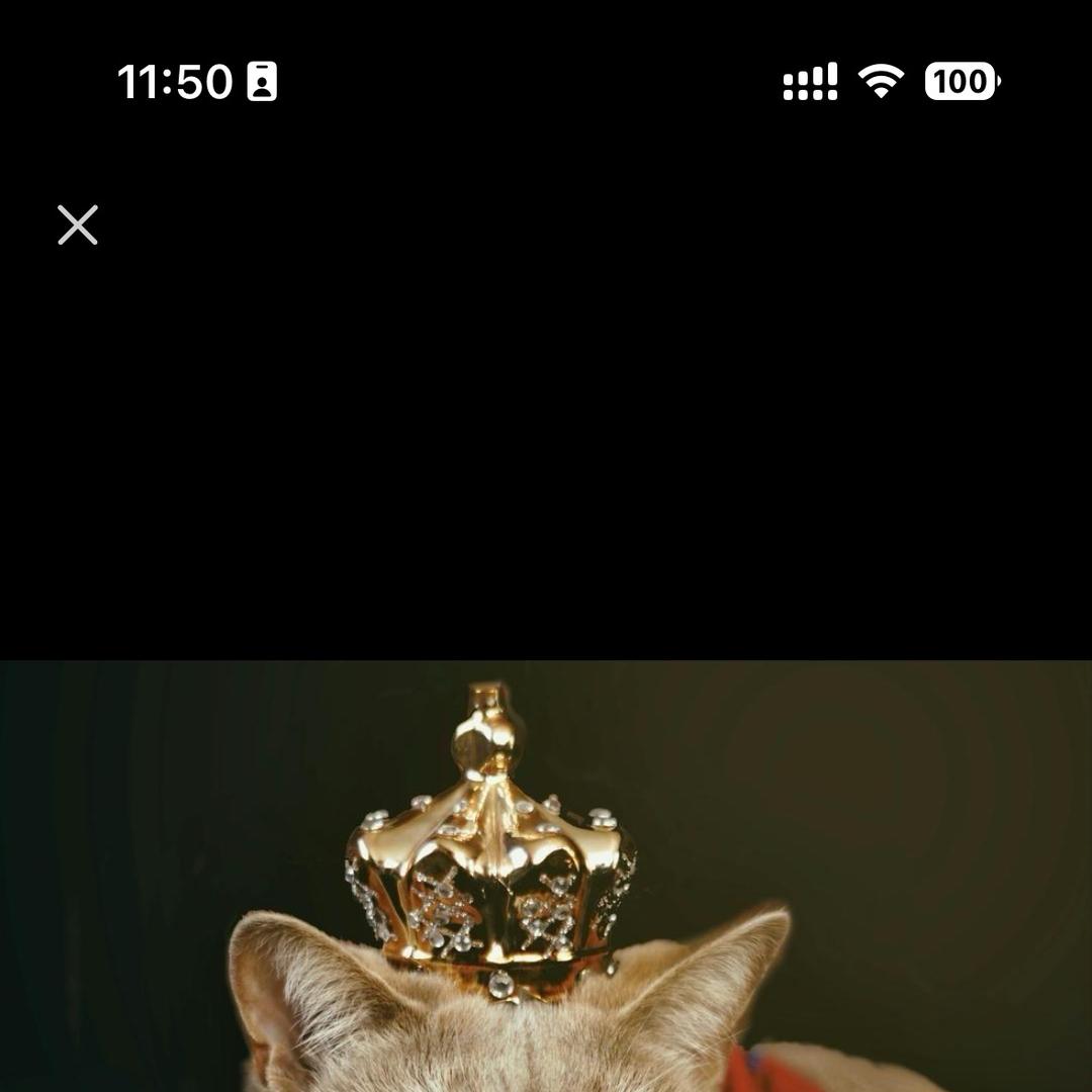 FUTURE QUEEN滋补旗舰店