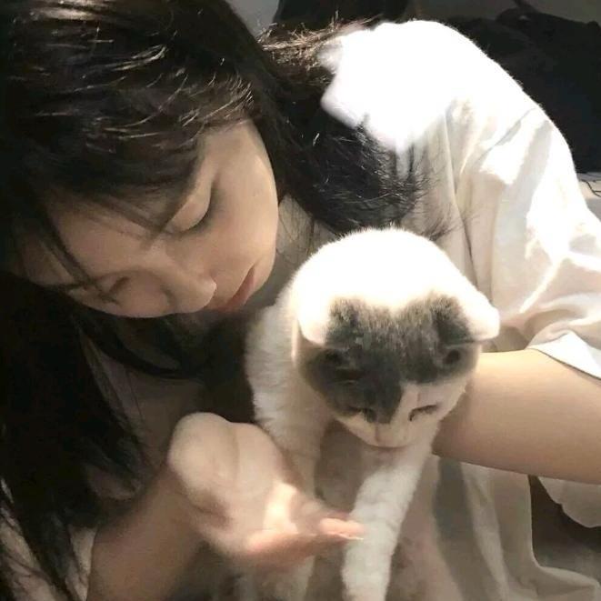 今晚月亮不营业yo