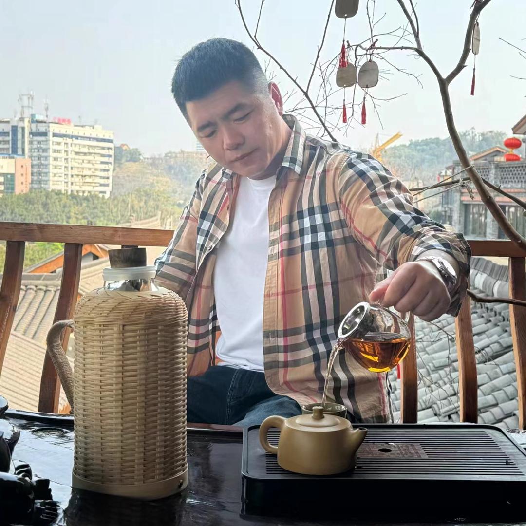 福宝（王者归来）