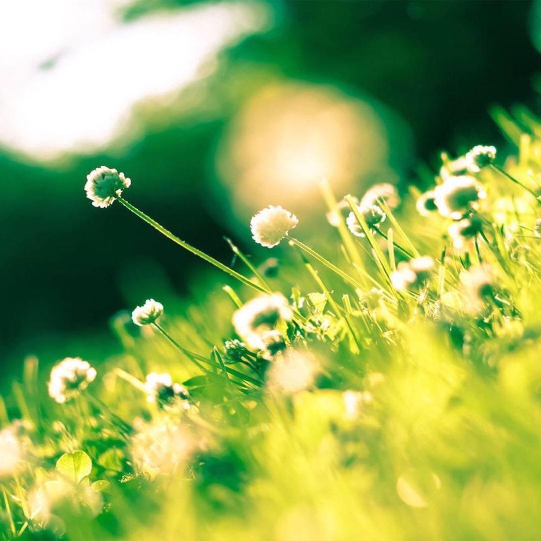 魏明家(有赞必回)