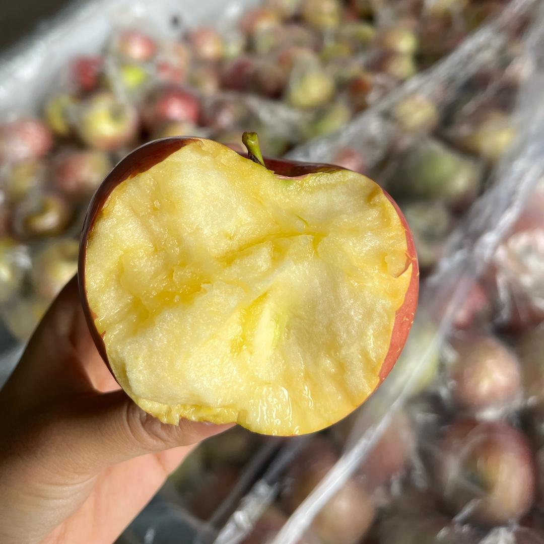 全国三农CEO（山西行）