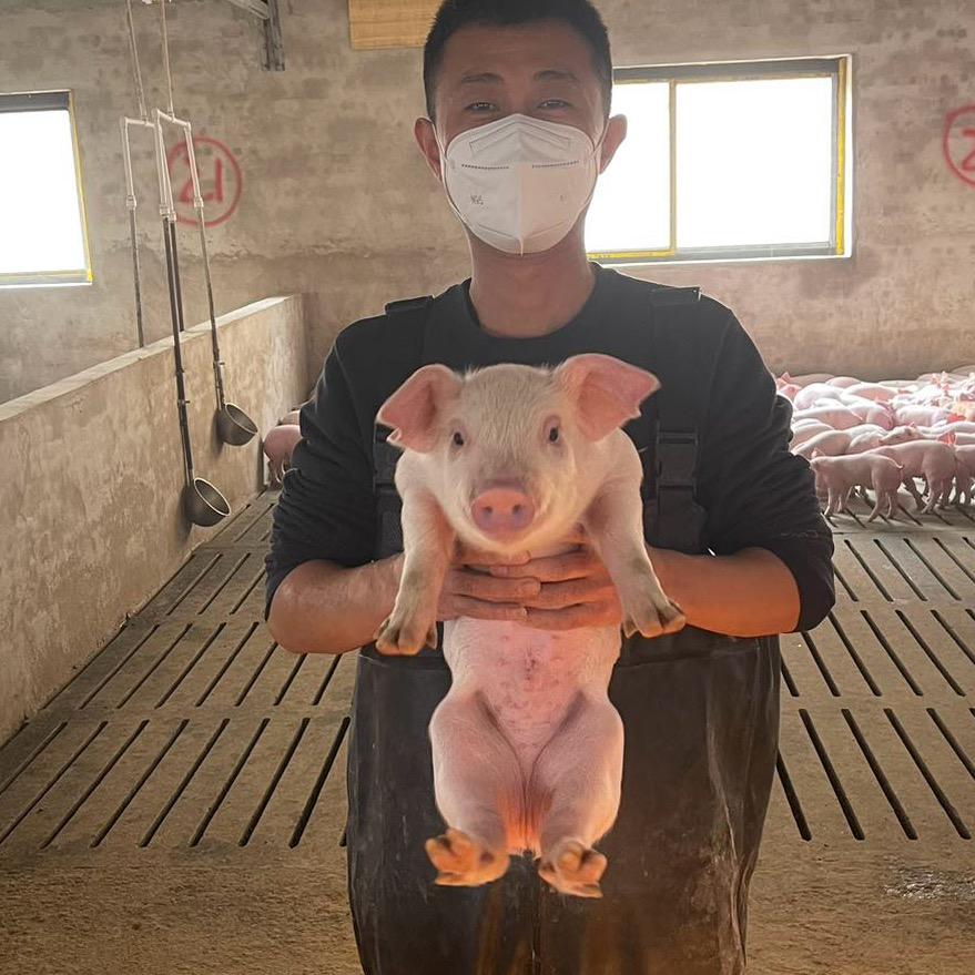 80后养猪人