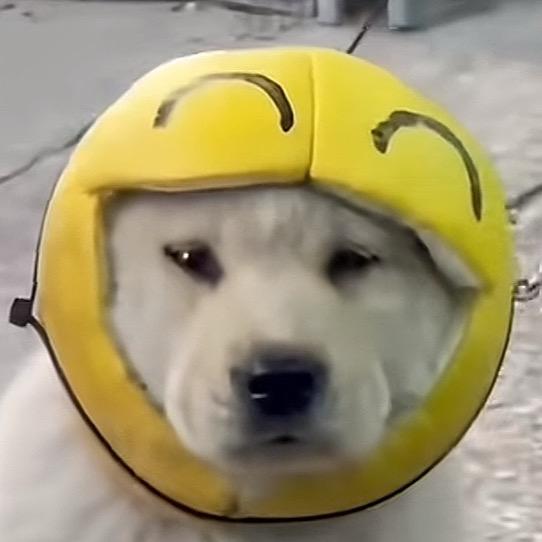 糊突突