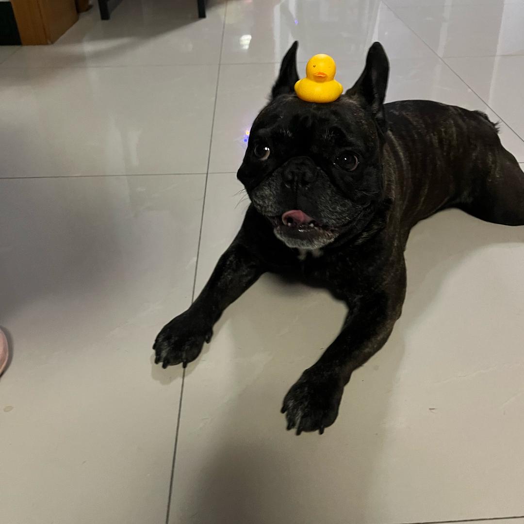 ffffffffffffffffffff