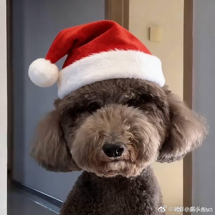 旺旺小果人