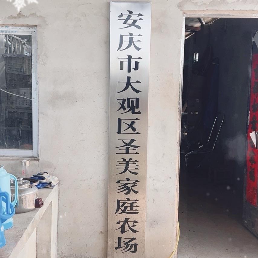 安庆市大观区圣美家庭农场