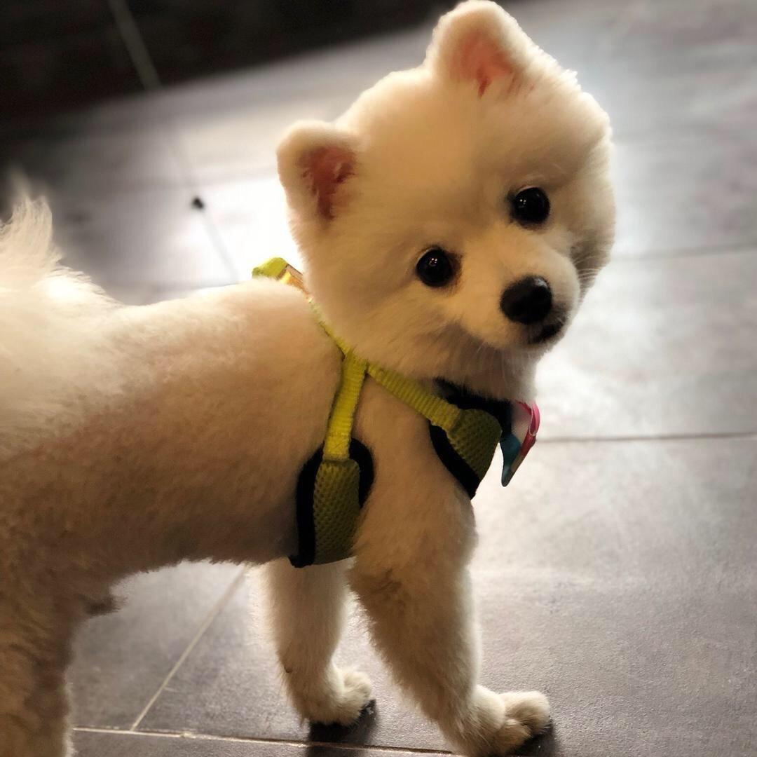 就叫我高冷吖shmily