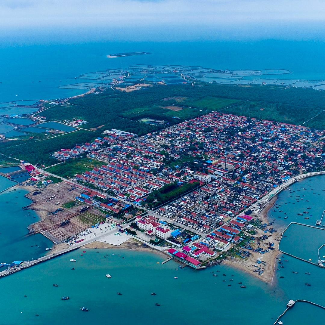 零即-海参那些事儿